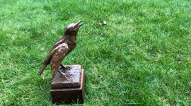 Bronzen Spreeuw, Heimans en Thijsse Prijs