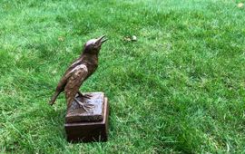 Heimans en Thijsse Stichting Bronzen Spreeuw, Heimans en Thijsse Prijs