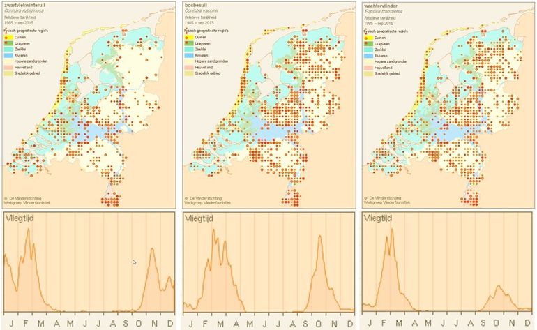 Kaartjes en vliegtijden van zwartvlekwinteruil, bosbesuil & wachtervlinder