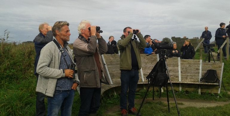 Dankzij bijna tienduizend vrijwilligers die actief zijn voor het BMP-project en andere telprojecten van Sovon wordt de broedvogelstand nauwkeurig gevolgd. Tellingen worden tijdens cursussen geoefend, zoals hier in Friesland