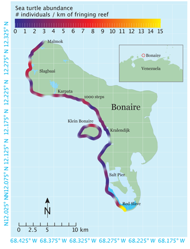 Sea turtle abundance Bonaire