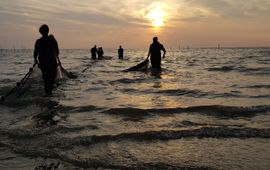 Zegenvissen in de Delta