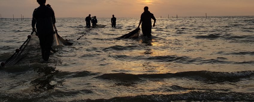 Zegenvissen in de Delta