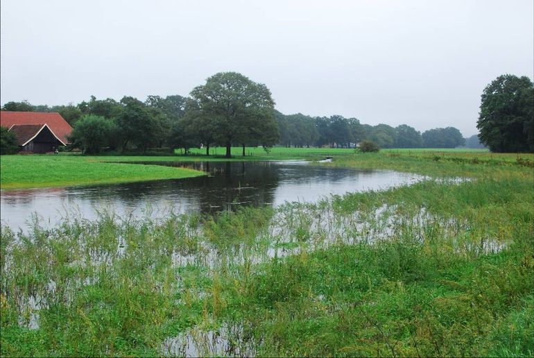 De integratie van natuur en landbouw gaat in Boeren voor Natuur verder dan agrarisch natuurbeheer: het hele bedrijf is erbij betrokken en de bedrijfsvoering is per definitie extensief door de nattere omstandigheden en de schaarste aan mest