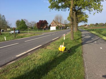 Onderzoek naar natuurlijke vijanden van de eikenprocessierups in Gelderland