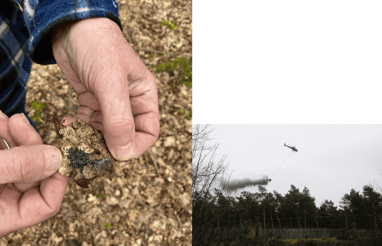 Van het steenmeel dat Nel nog uitgestrooid zag worden, was na de eerste regenbui bijna niets meer terug te zien