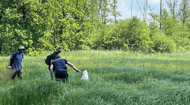 Op zoek naar veen in het Dommeldal