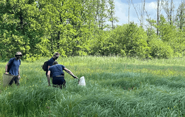 Marrie Hoedelmans Op zoek naar veen in het Dommeldal