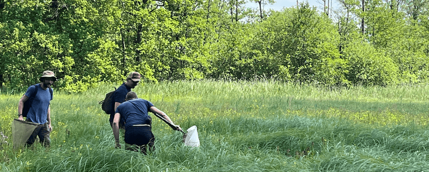 Op zoek naar veen in het Dommeldal