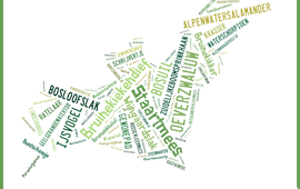 gaiazoo woordweb vleermuis