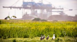 Havenbedrijf Rotterdam (eenmalig gebruik)