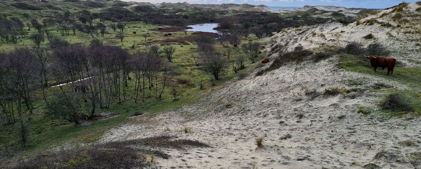 Wimmenummerduinen, ten noorden van Egmond aan Zee