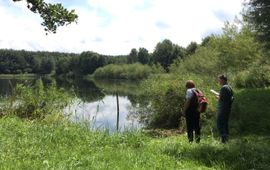 nieuwe natuur nabij natuurpark Lelystad