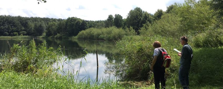 nieuwe natuur nabij natuurpark Lelystad