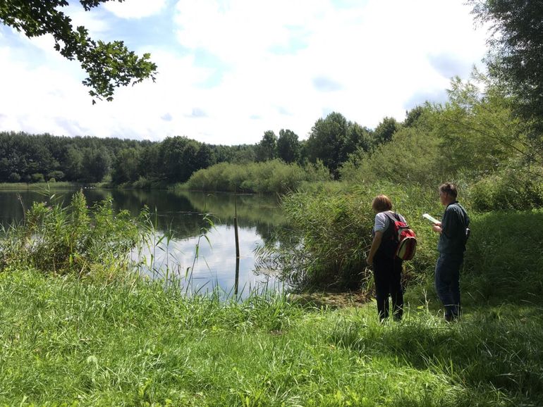 Nieuwe natuur in Natuurpark Lelystad