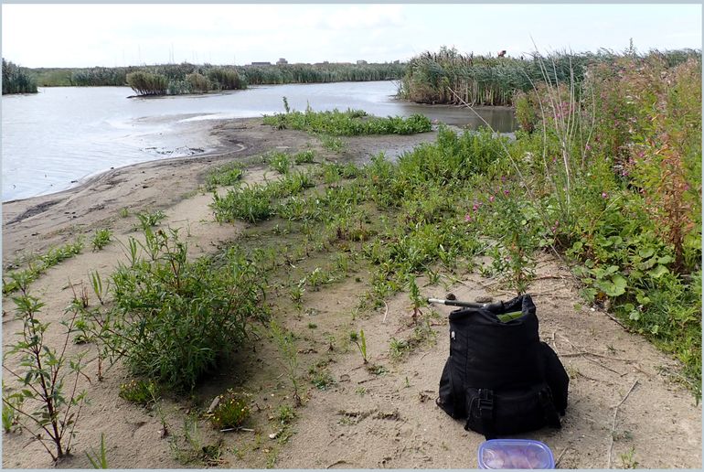 Marker Wadden, hoofdeiland. Op veel plaatsen zijn kreken, zoetwaterplasjes en poelen. Prima biotoop voor zoetwaterweekdieren en landslakken (in de oevervegetatie). Tijd om de inventarisatie-uitrusting in gebruik te nemen