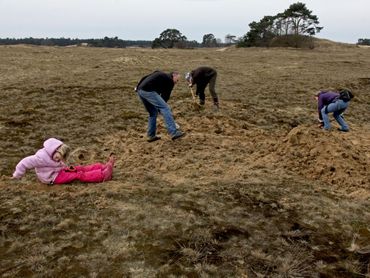 Kleinschalig plaggen op het Kootwijkerzand helpt kleine heivlinder