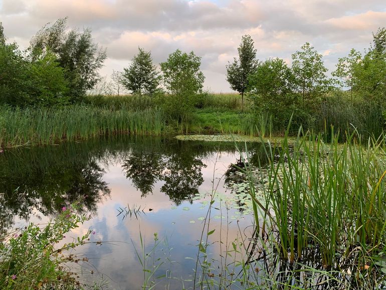 Brabantse Delta