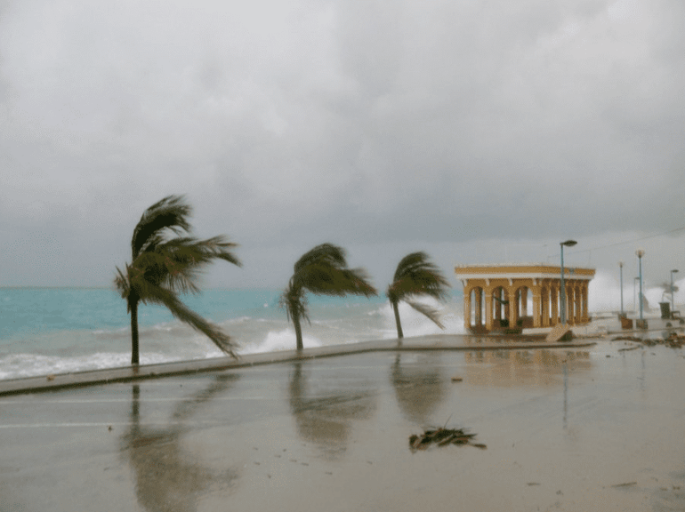 Door klimaatverandering komen er meer zware stormen voor, zoals deze storm voor de kust van Bonaire. Zeegras beschermt de kust door de zeebodem vast te houden en het slaat veel koolstof op