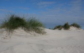 Jouke Altenburg Duinen