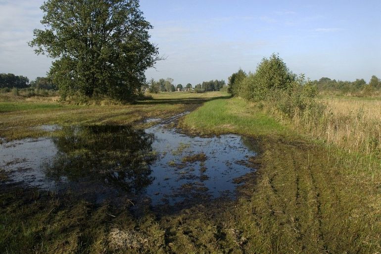 Waterkwaliteit, Labbegat Waalwijk