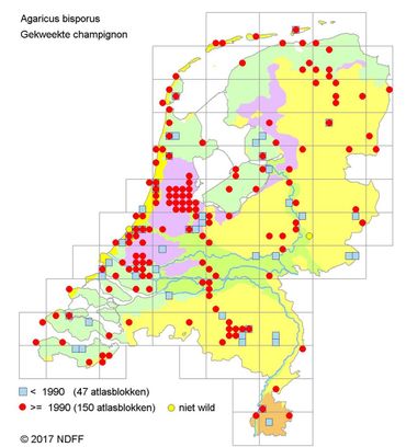 Verspreidingskaartje van de Gekweekte champignon