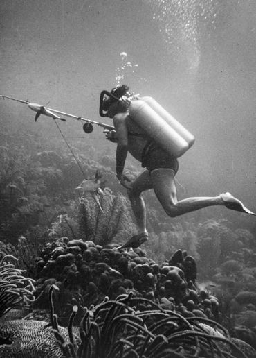 Duiker in Fuikbaai, Curaçao in 1955