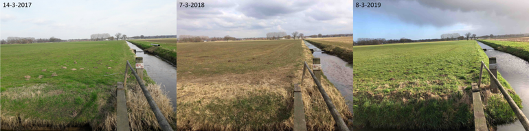 Verschil in ontwikkeling van gras in weiland tussen 14 maart 2017, 7 maart 2018 en 8 maart 2019