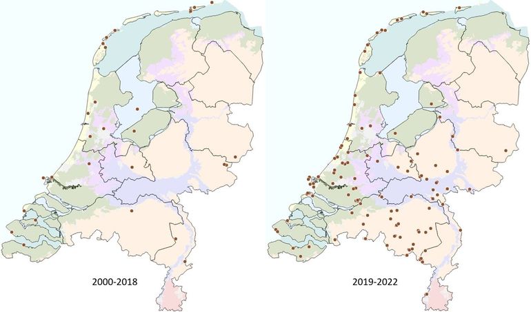 Verspreiding zadellibel voor en vanaf 2019