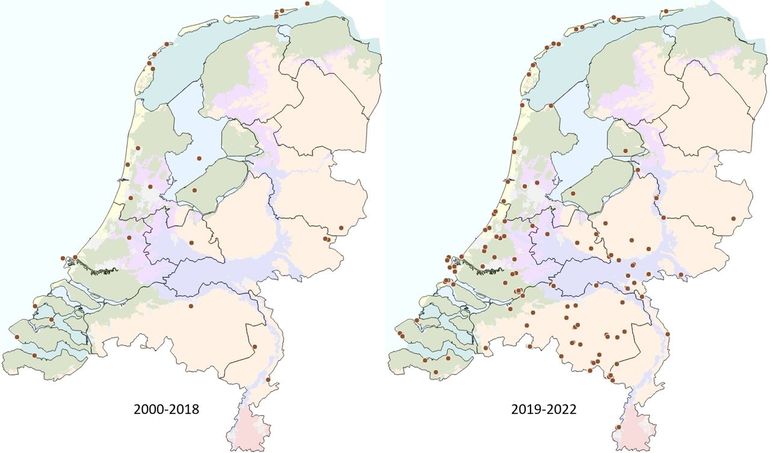 Verspreiding zadellibel voor en vanaf 2019