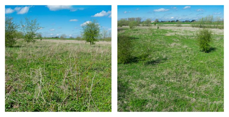 Verschil in beeld tussen foto op 1,5 meter hoogte en middels fotomast