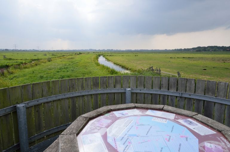 Hoeve Stein combineert natuurbeheer en melkveehouderij 