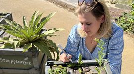 Auteur bij kuip met stoepplantjes in Hortus botanicus Leiden