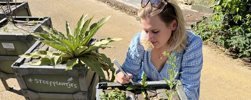 Auteur bij kuip met stoepplantjes in Hortus botanicus Leiden