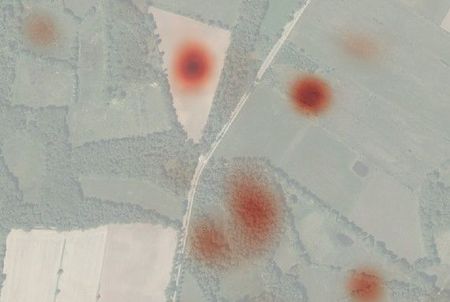 Heatmap van houtsnip 56944, gezenderd in 2023. De GPS-posities laten zien dat deze vogel zich overdag ophield in het bos en ’s nachts naar de open akkers vloog om daar te gaan foerageren, waarschijnlijk op regenwormen