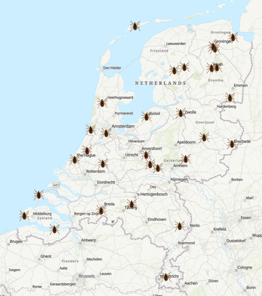 Dertig Tuintekentelteams verspreid over heel Nederland hebben in totaal samen vier kilometer tuin onderzocht. Daarbij zijn ruim 350 teken aangetroffen. Ook op kort gemaaid gras