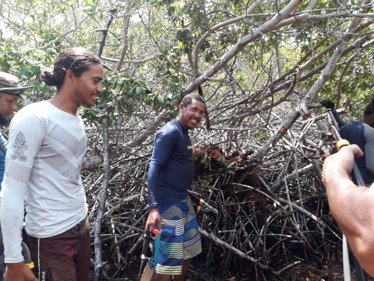 Mangrove Maniacs in actie
