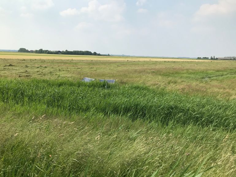 Greppels op boerenpercelen, vernat met waterpompen op zonne-energie