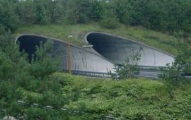 vzz de Woeste Hoeve