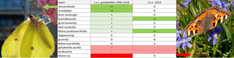 Vergelijking voorkomen verschillende soorten in de routes dit voorjaar met het gemiddelde van 1990 - 2018 en met 2019