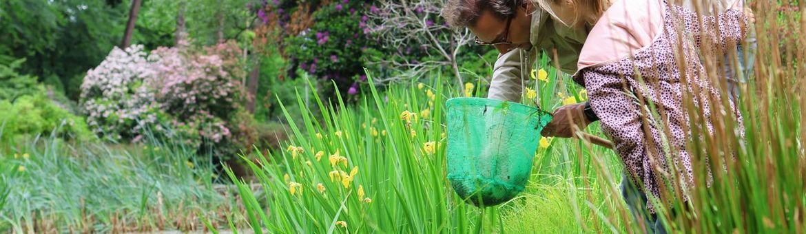Mensen doen mee aan onderzoek waterdiertjes