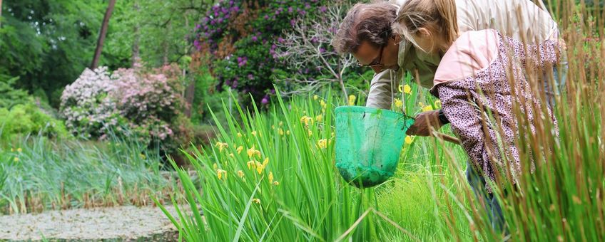 Mensen doen mee aan onderzoek waterdiertjes