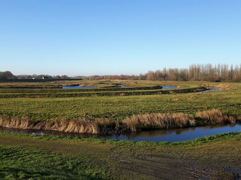 De Achteroever in de Koopmanspolder