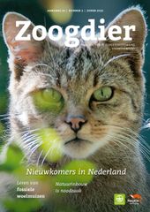 Zoogdier – zomer 2025