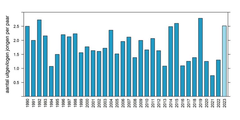 Aantal uitgevlogen jongen per paar van grauwe kiekendief in Nederland in 1990-2023 (2023 voorlopig aantal)