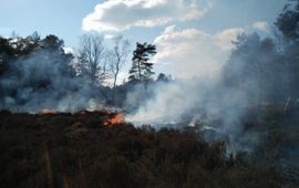 Gecontroleerde brand op de Galderse Heide, februari 2018