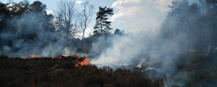 Gecontroleerde brand op de Galderse Heide, februari 2018