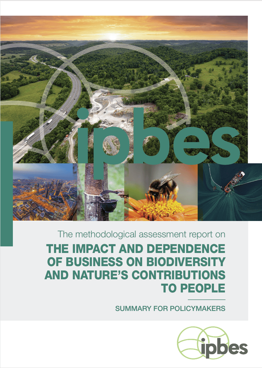 Cover IPBES Business and Biodiversity Assessment, summary for policymakers