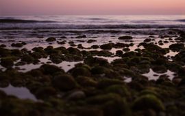Anna Jimenez Calaf, Unsplash (vrij te gebruiken) Kust