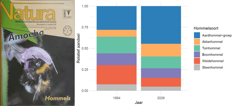 Links: de KNNV en de NJN deden in 1995 gezamenlijk verslag van de telresultaten in een speciaal nummer over hommels. Rechts: verhouding hommelsoorten van de hommeltuintelling dit jaar in vergelijking met die in 1994